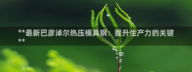 易倍EMC网址：**最新巴彦淖尔热压模具钢：提升生产力的
