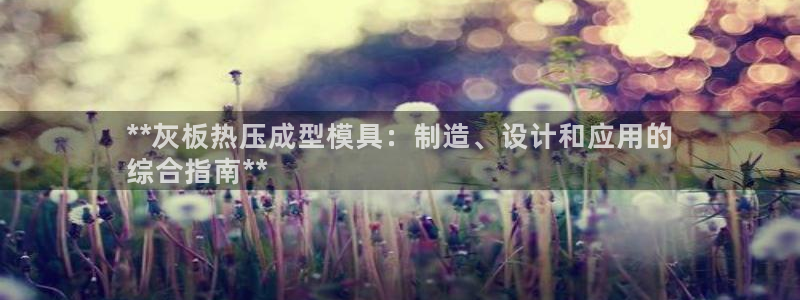 易倍单词官方网站登录：**灰板热压成型模具：制造、设计和