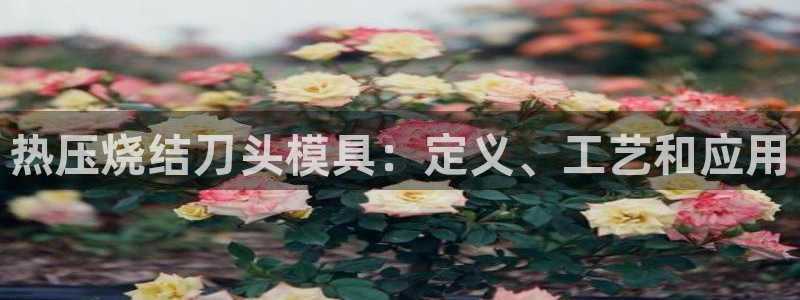 emc易倍app官网下载：热压烧结刀头模具：定义、工艺和