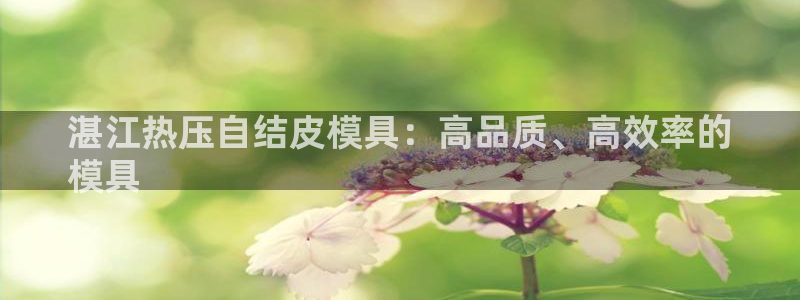 易倍申在中国成功上市：湛江热压自结皮模具：高品质、高效率