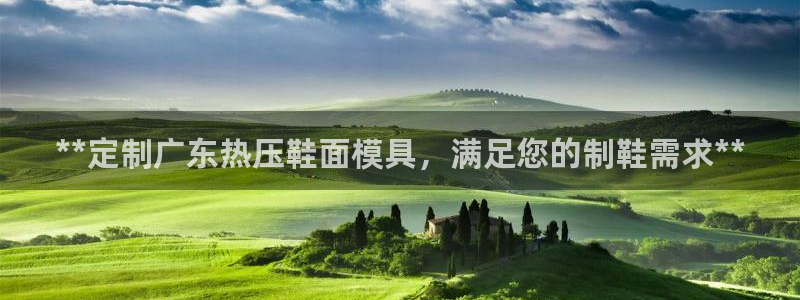 易倍app官网下载安装：**定制广东热压鞋面模具，满足您