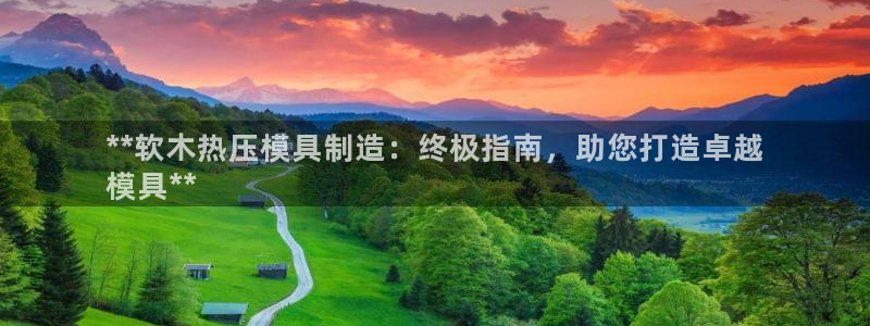 易倍纤怎么使用：**软木热压模具制造：终极指南，助您打造