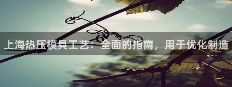 EMC易倍官网招聘：上海热压模具工艺：全面的指南，用于优