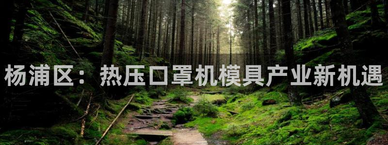 emc软件下载：杨浦区：热压口罩机模具产业新机遇