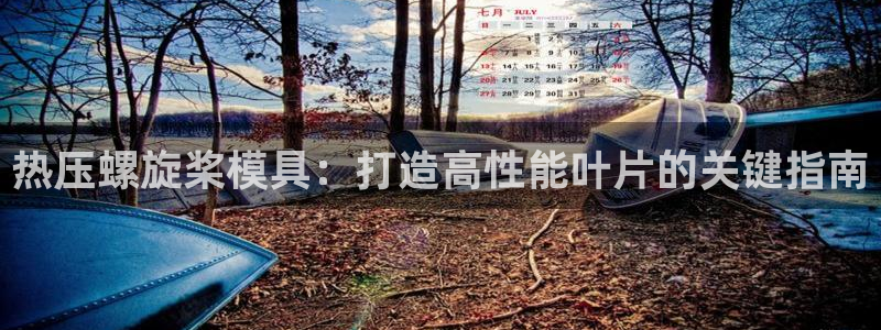易倍全站下载：热压螺旋桨模具：打造高性能叶片的关键指南