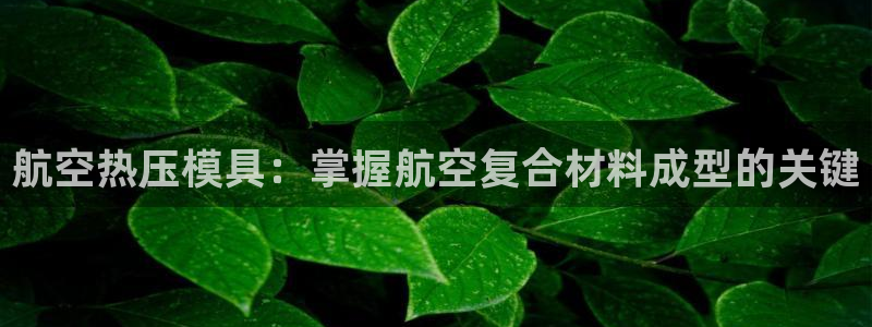 易倍申服用方法：航空热压模具：掌握航空复合材料成型的关键