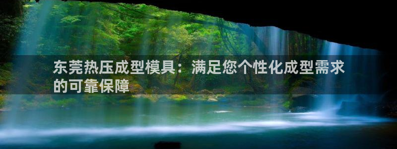 易倍思机电制造(上海)有限公司：东莞热压成型模具：满足您