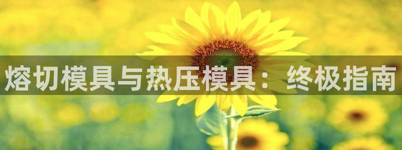 emc32软件