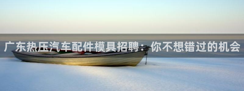 易倍纤怎么使用：广东热压汽车配件模具招聘：你不想错过的机