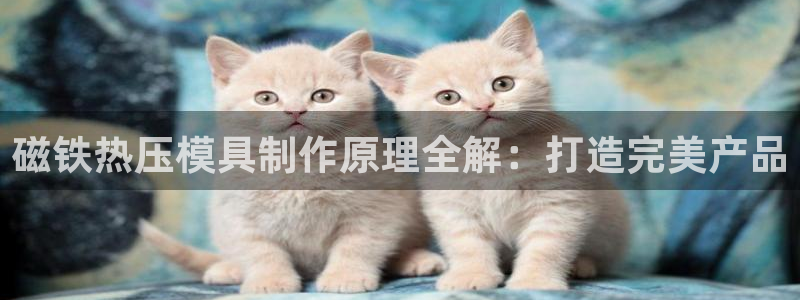 易倍emc安全吗：磁铁热压模具制作原理全解：打造完美产品