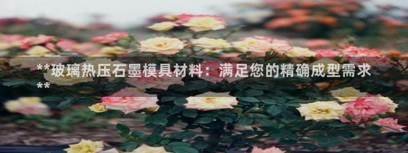 emc易倍官网登录入口：**玻璃热压石墨模具材料：满足您