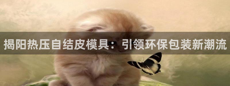 杭州易倍达上班怎么样：揭阳热压自结皮模具：引领环保包装新