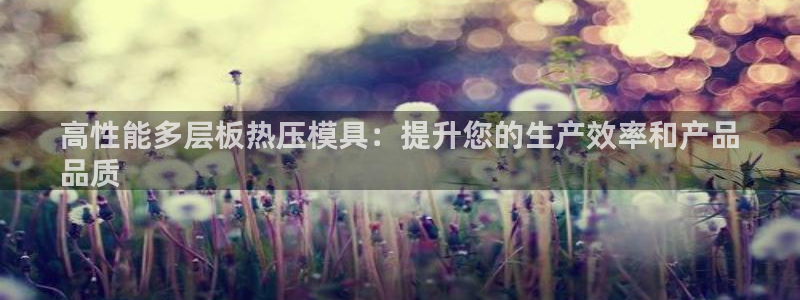 易倍申效果怎么样：高性能多层板热压模具：提升您的生产效率