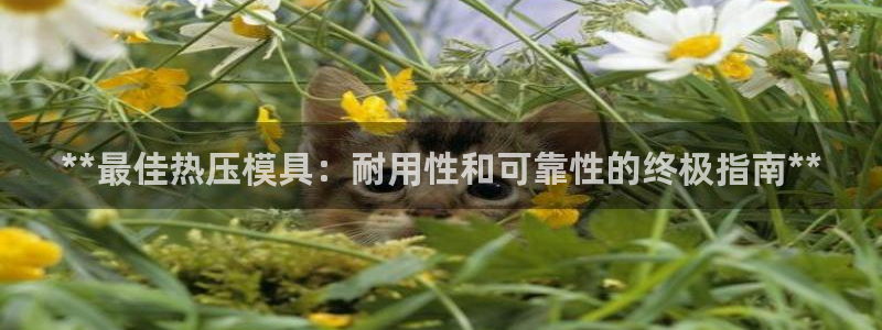 emc易倍老板：**最佳热压模具：耐用性和可靠性的终极指