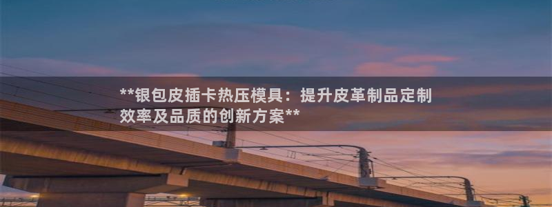 易倍纤代餐奶昔怎么样：**银包皮插卡热压模具：提升皮革制