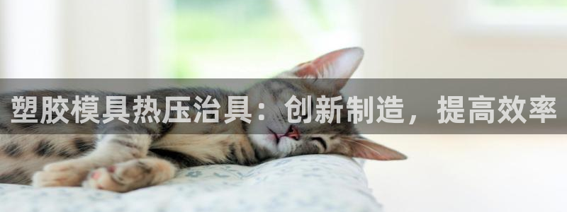 emc全站易倍：塑胶模具热压治具：创新制造，提高效率