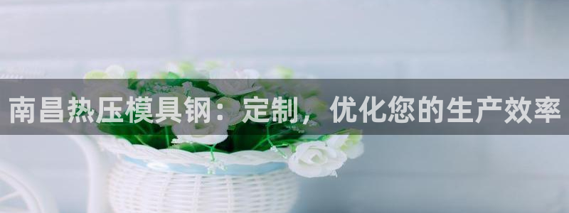 易倍申医保报销：南昌热压模具钢：定制，优化您的生产效率