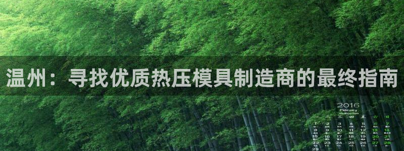 emc备份软件：温州：寻找优质热压模具制造商的最终指南